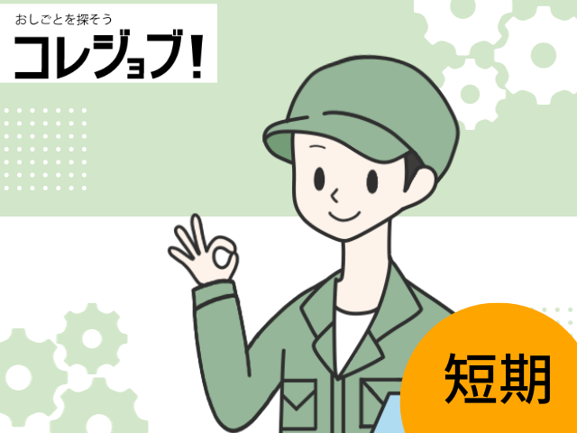 国産車ディーラーでの洗車など軽作業